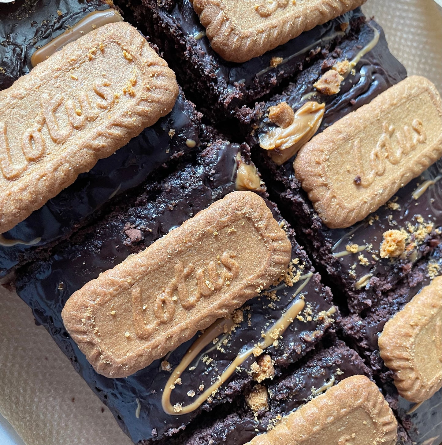 Biscoff Chocolate Brownies